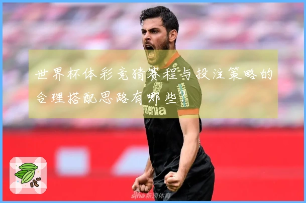 世界杯体彩竞猜赛程与投注策略的合理搭配思路有哪些？
