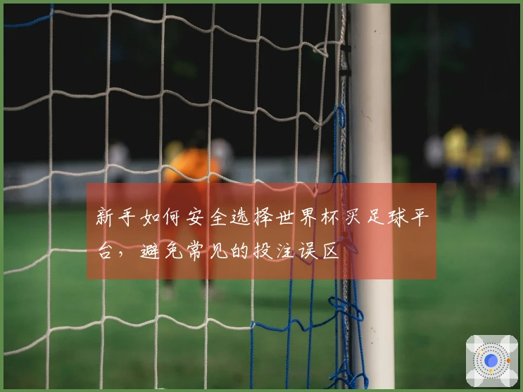新手如何安全选择世界杯买足球平台，避免常见的投注误区