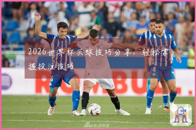 2026世界杯买球技巧分享，轻松掌握投注技巧