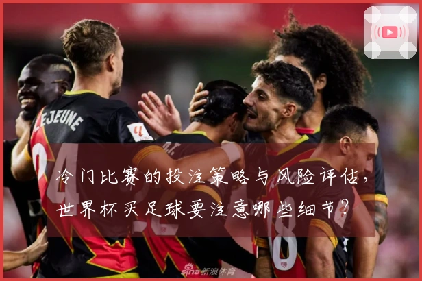 冷门比赛的投注策略与风险评估，世界杯买足球要注意哪些细节？