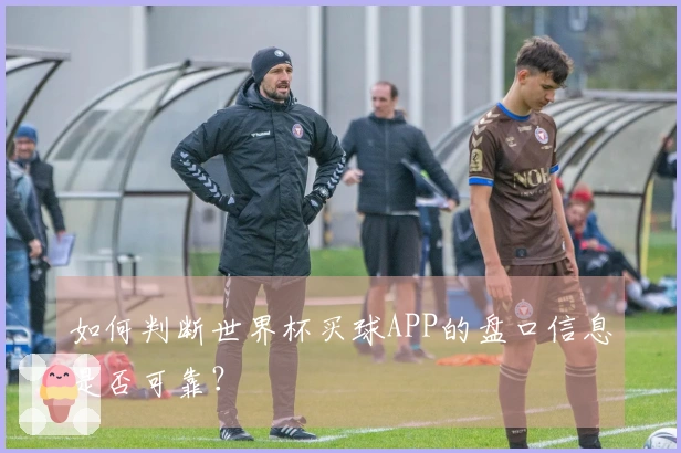 如何判断世界杯买球APP的盘口信息是否可靠？