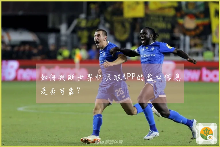 如何判断世界杯买球APP的盘口信息是否可靠？