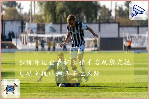 如何评估世界杯竞猜平台的稳定性与安全性以避免下注风险