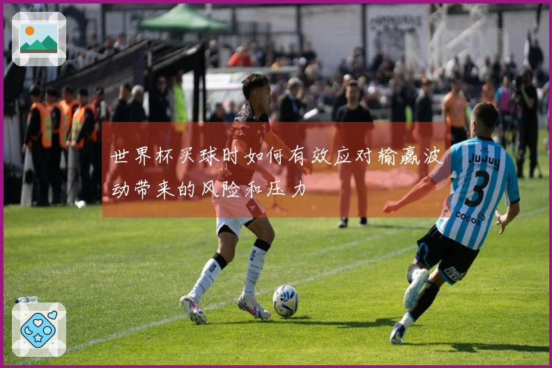 世界杯买球时如何有效应对输赢波动带来的风险和压力