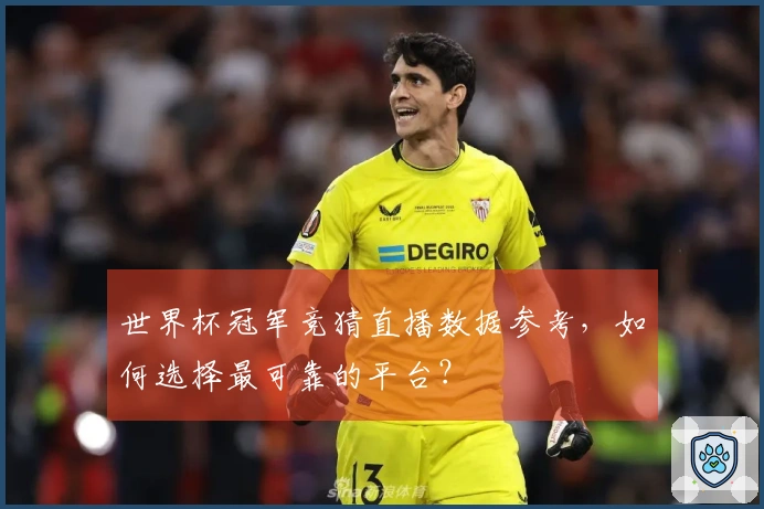 世界杯冠军竞猜直播数据参考，如何选择最可靠的平台？