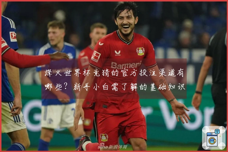 烽火世界杯竞猜的官方投注渠道有哪些？新手小白需了解的基础知识