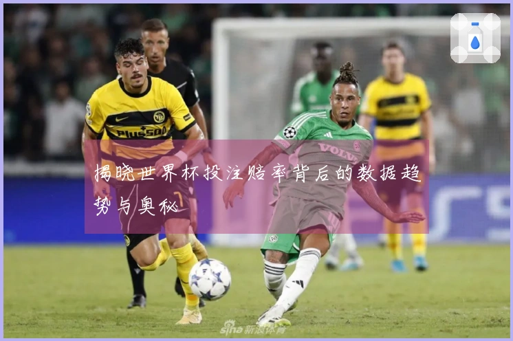 揭晓世界杯投注赔率背后的数据趋势与奥秘