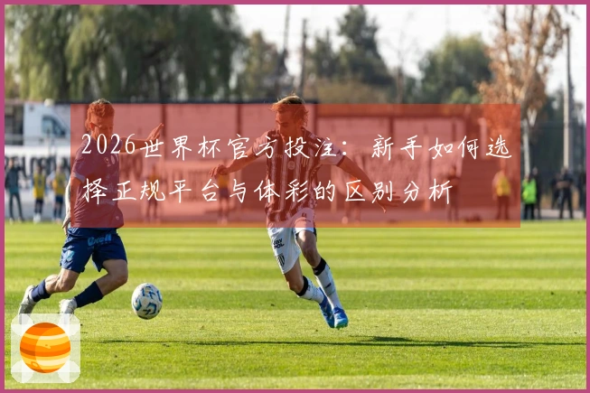 2026世界杯官方投注：新手如何选择正规平台与体彩的区别分析