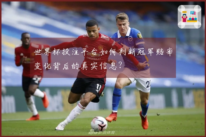 世界杯投注平台如何判断冠军赔率变化背后的真实信息？