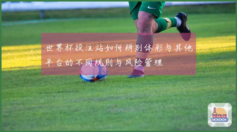 世界杯投注站如何辨别体彩与其他平台的不同规则与风险管理