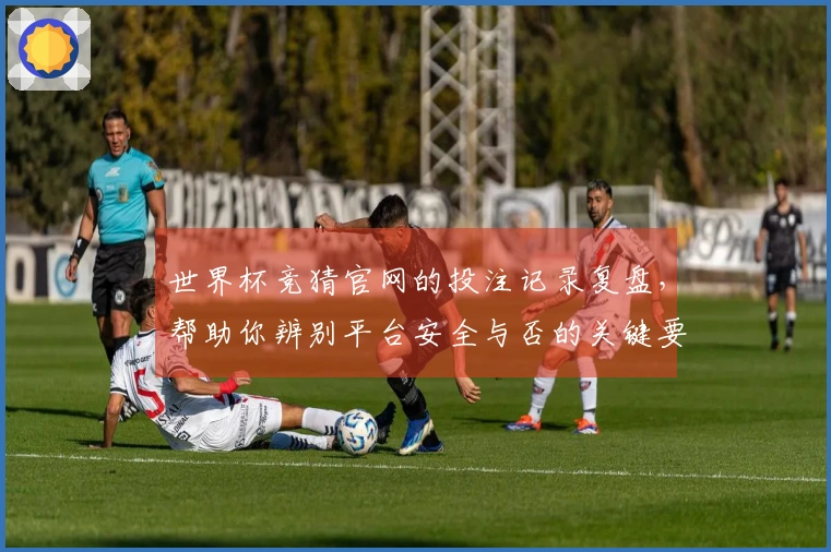世界杯竞猜官网的投注记录复盘，帮助你辨别平台安全与否的关键要素