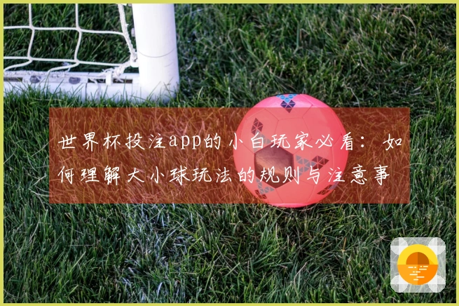 世界杯投注app的小白玩家必看：如何理解大小球玩法的规则与注意事项