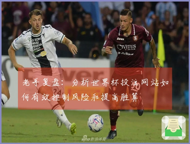 老手复盘：分析世界杯投注网站如何有效控制风险和提高胜算