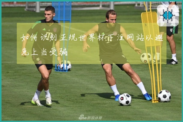 如何识别正规世界杯下注网站以避免上当受骗