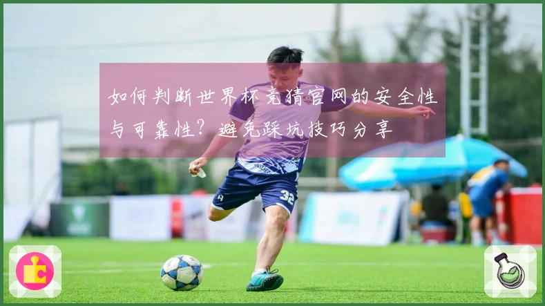 如何判断世界杯竞猜官网的安全性与可靠性？避免踩坑技巧分享