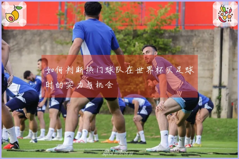 如何判断热门球队在世界杯买足球时的实力与机会