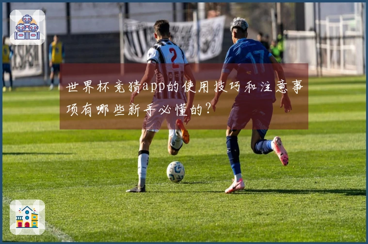 世界杯竞猜app的使用技巧和注意事项有哪些新手必懂的？