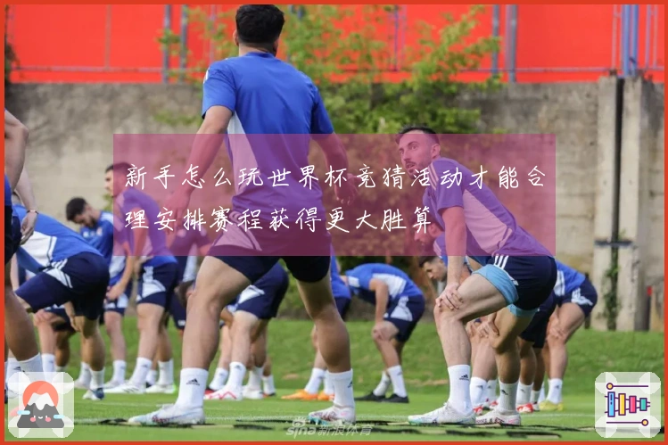 新手怎么玩世界杯竞猜活动才能合理安排赛程获得更大胜算