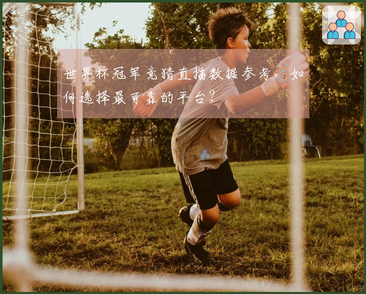 世界杯冠军竞猜直播数据参考，如何选择最可靠的平台？