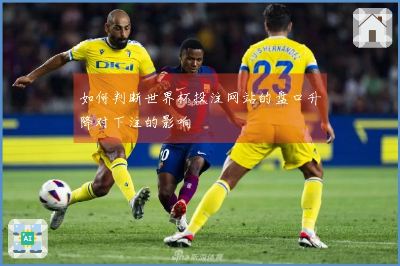 如何判断世界杯投注网站的盘口升降对下注的影响