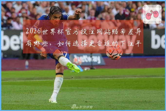 2026世界杯官方投注网站赔率差异有哪些，如何选择更合适的下注平台