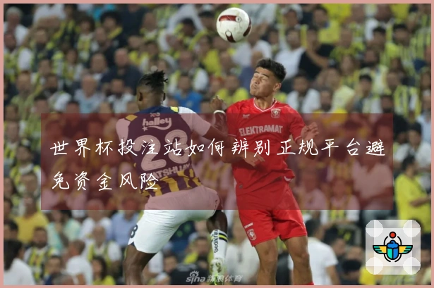 世界杯投注站如何辨别正规平台避免资金风险