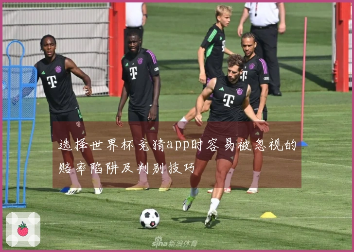 选择世界杯竞猜app时容易被忽视的赔率陷阱及判别技巧