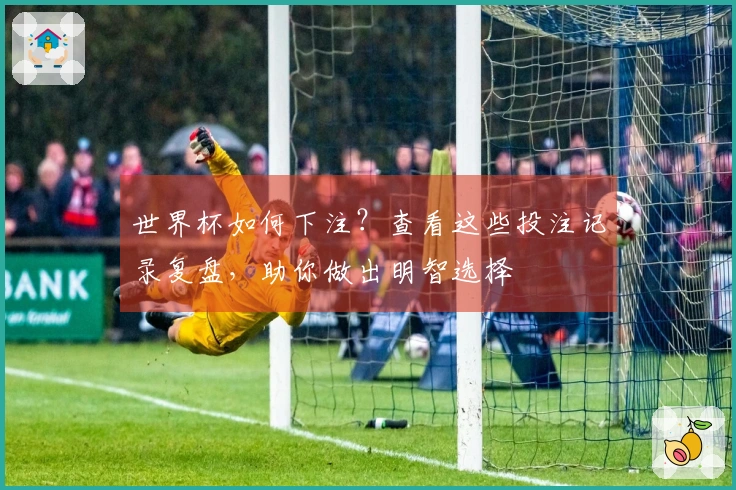 世界杯如何下注？查看这些投注记录复盘，助你做出明智选择