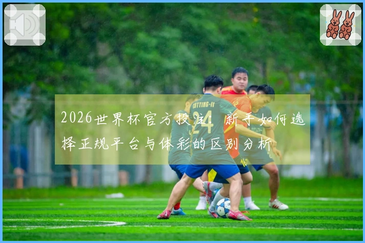 2026世界杯官方投注：新手如何选择正规平台与体彩的区别分析