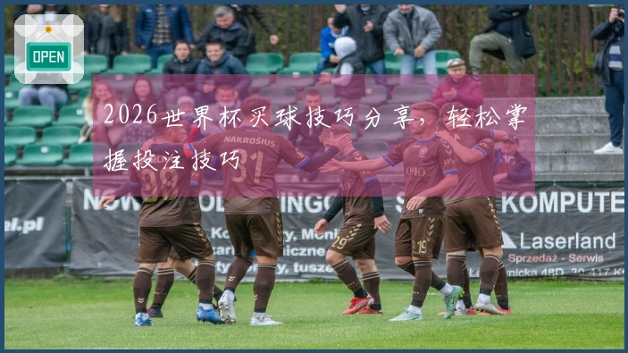 2026世界杯买球技巧分享，轻松掌握投注技巧