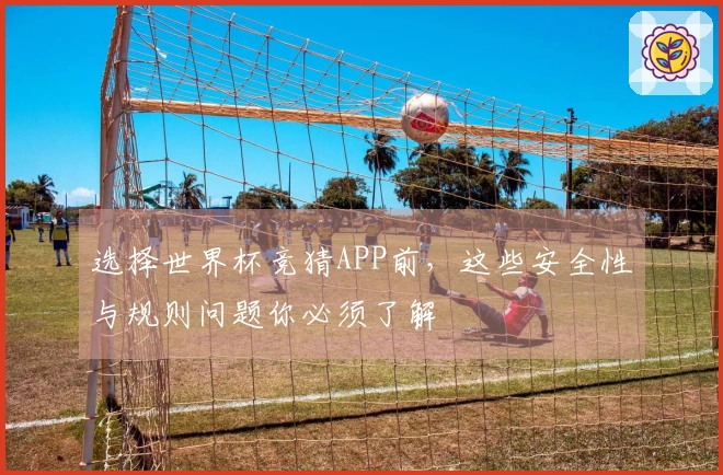 选择世界杯竞猜APP前，这些安全性与规则问题你必须了解