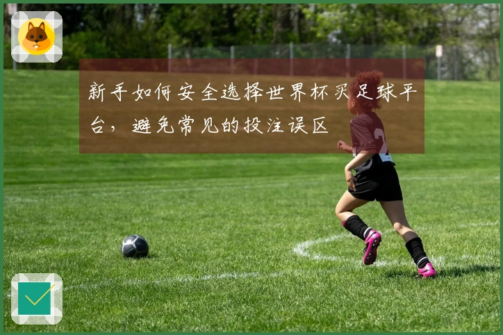 新手如何安全选择世界杯买足球平台，避免常见的投注误区