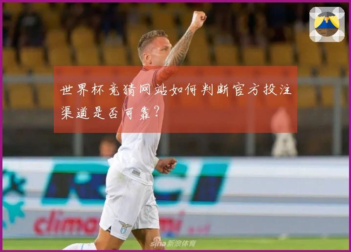 世界杯竞猜网站如何判断官方投注渠道是否可靠？